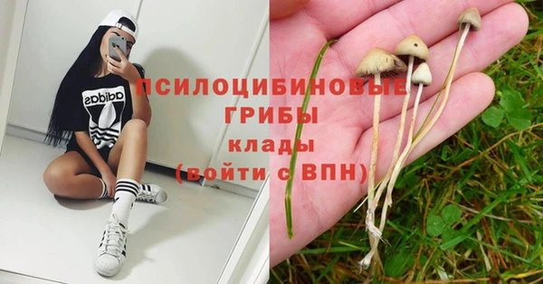 кокаин перу Каменногорск