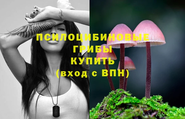 соль ск Каменск-Шахтинский
